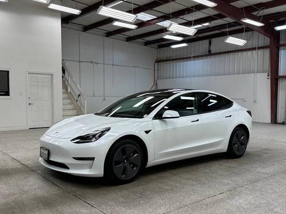 TESLA MODEL 3 2022 5YJ3E1EB6NF123034 image